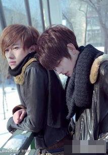 韩国明星109部视频,璀璨星途，光影交织