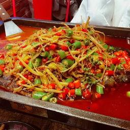 吃烤鱼视频,一场视觉与味蕾的双重盛宴